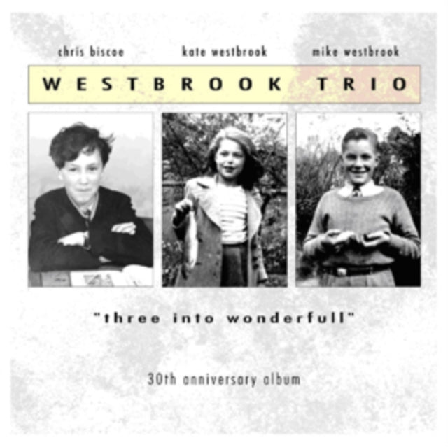 Three Into Wonderful