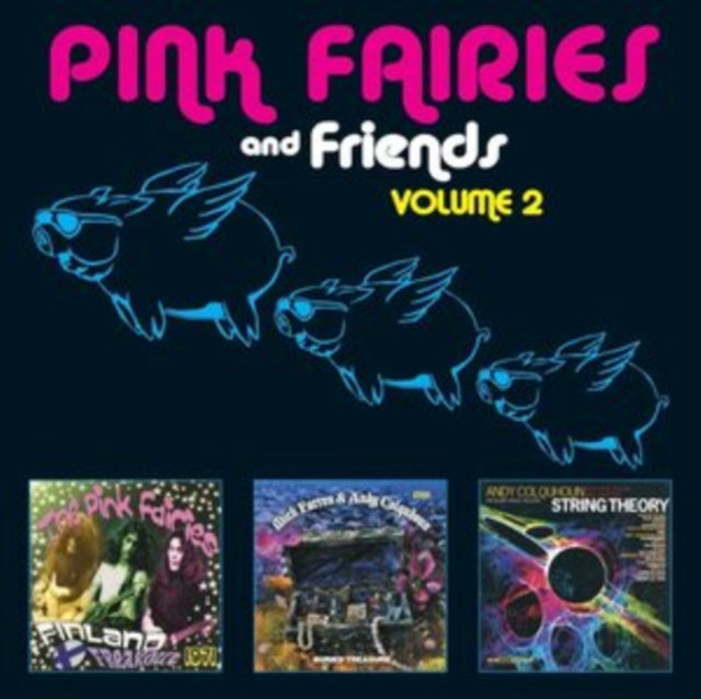 The Pink Fairies and Friends