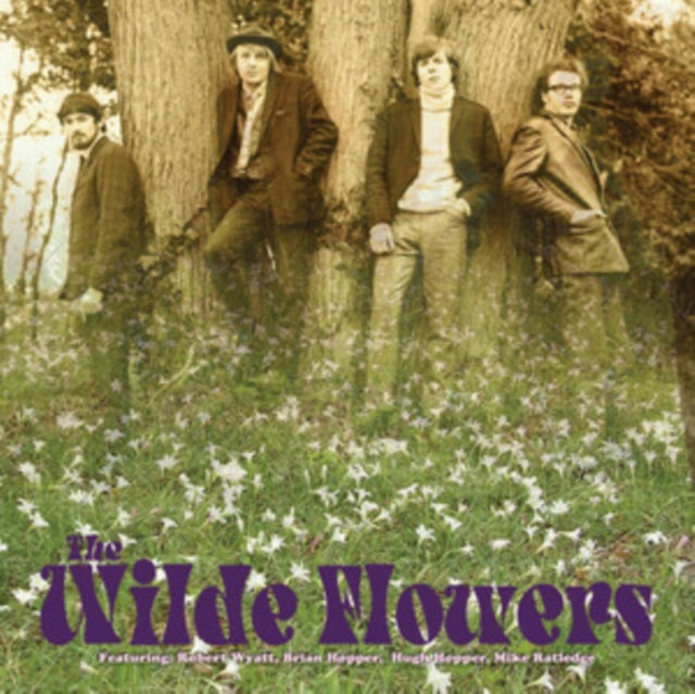 The wilde flowers