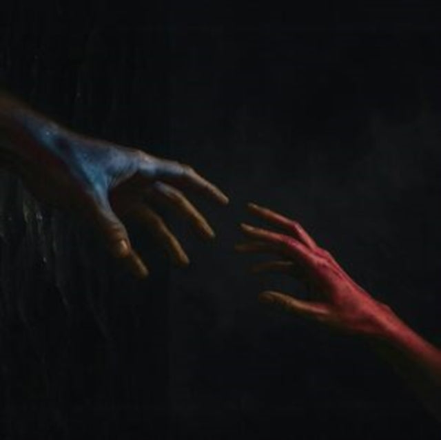 The Light Between Me and the Void