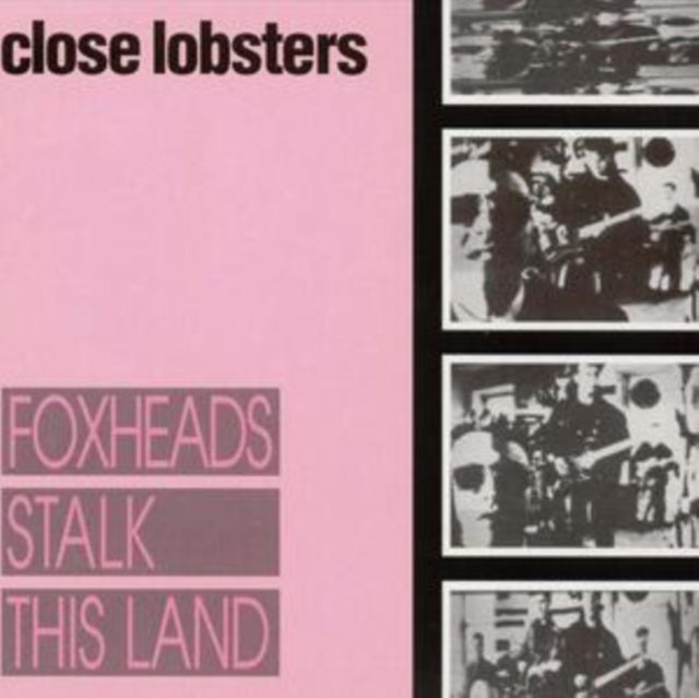 Foxheads Stalk This Land
