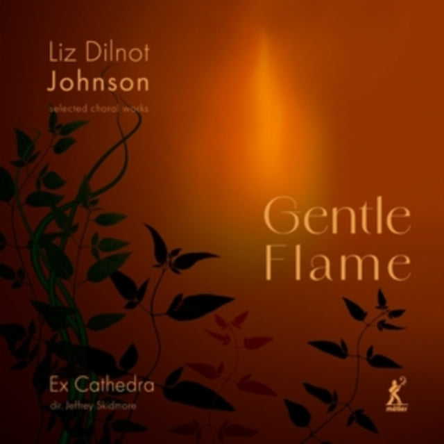 Liz Dilnot Johnson: Gentle Flame