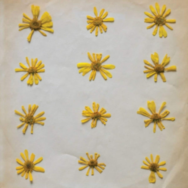 Flowers in the Spring