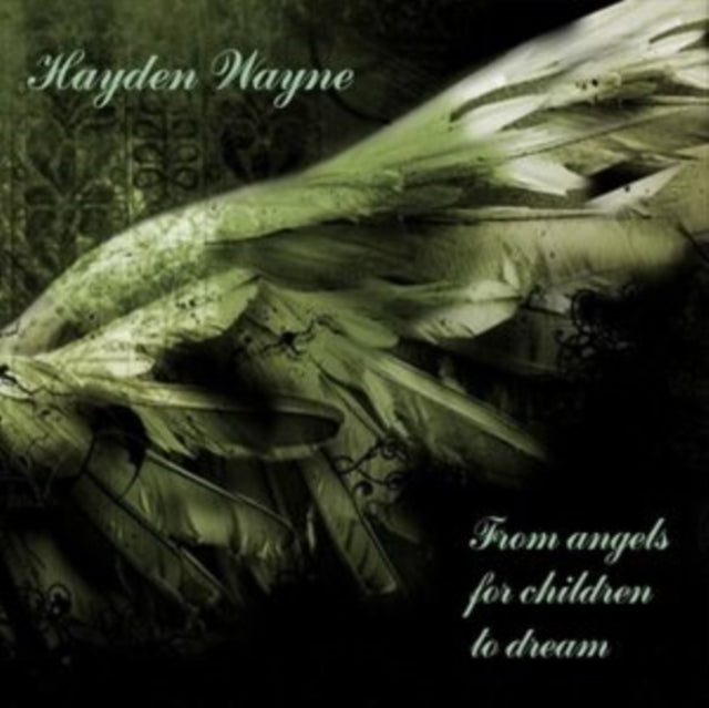 Hayden Wayne: From Angels for Children to Dream