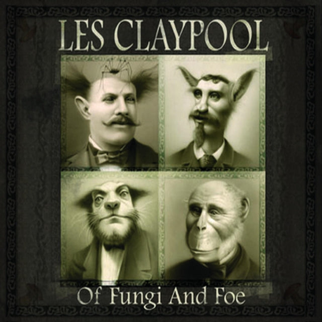 Of Fungi and Foe