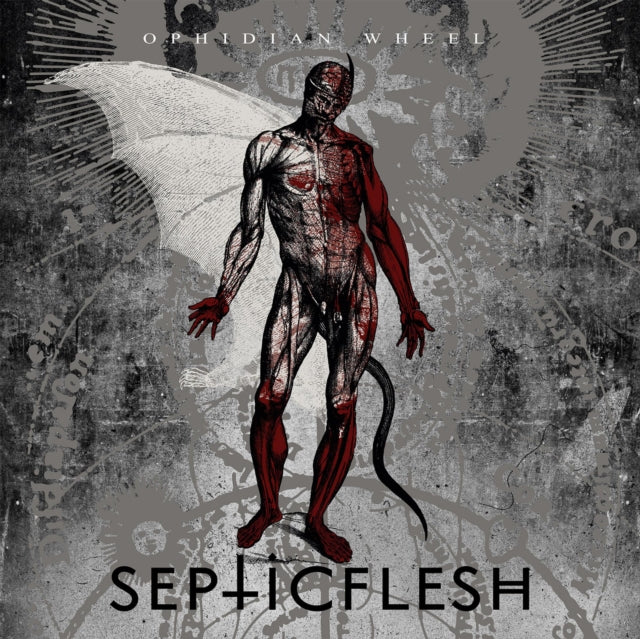 Ophidian Wheel Reissue