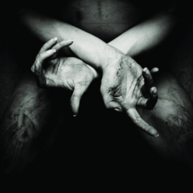 X - Varg Utan Flock