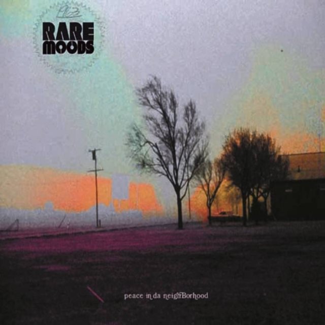 Peace in Da Neighborhood