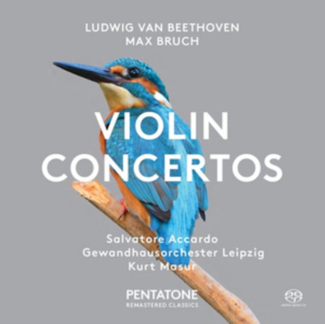 Ludwig Van Beethoven/Max Bruch: Violin Concertos