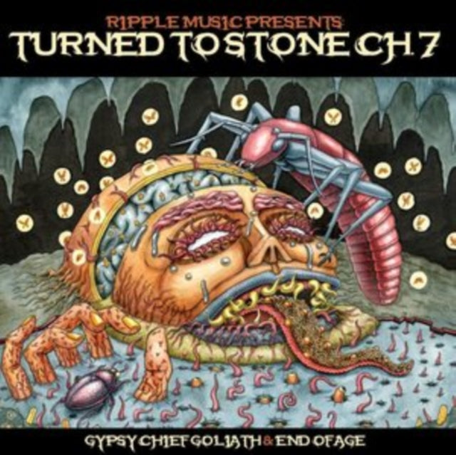 Turned to Stone