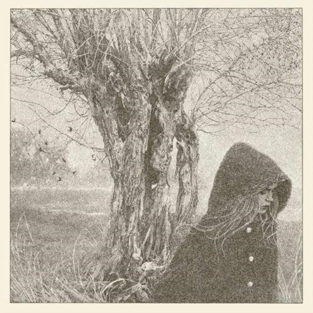 Between the Earth and Sky