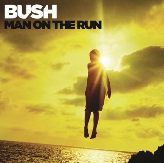Man On the Run