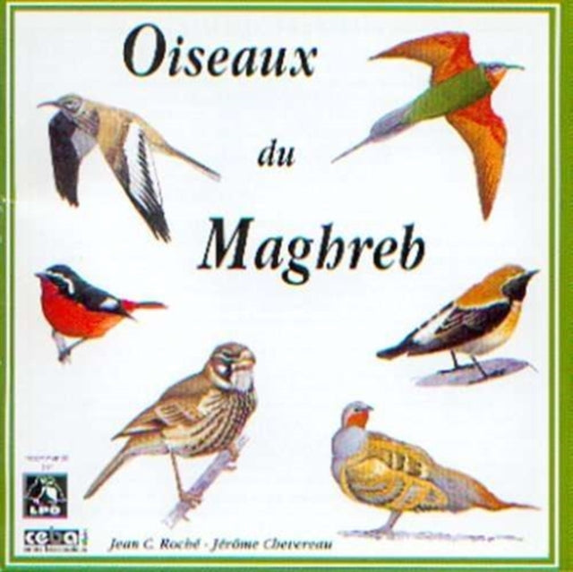 Birds of Mahgred North-west Africa