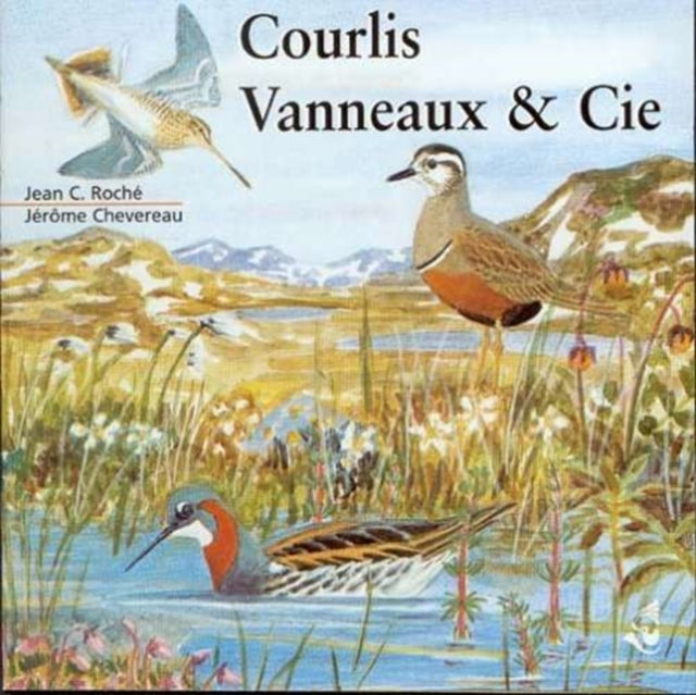 Curlews, Lapwings and Co.