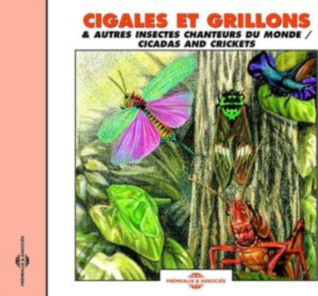Cigales Et Grillons