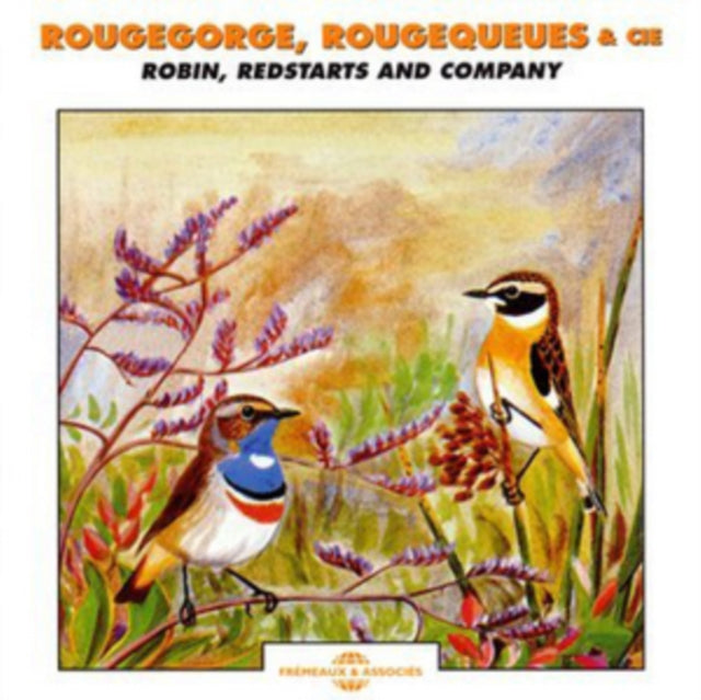 Robin, Redstarts and Company