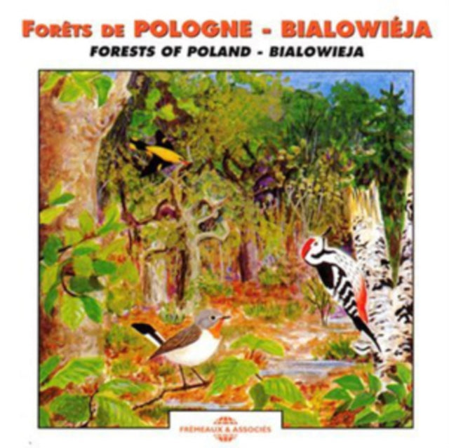 Forets De Pologne - Bialowieja