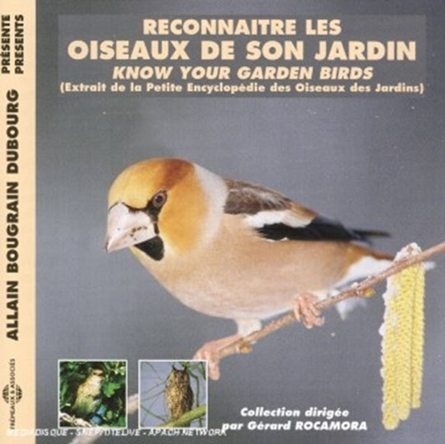 Reconnaître Les Oiseaux De Son Jardin