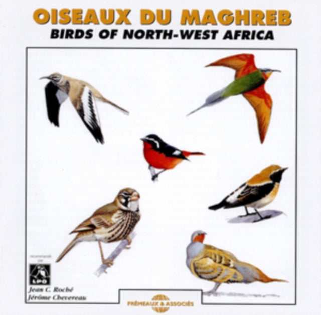 Oiseaux Du Maghreb (Birds of N.W. Africa)