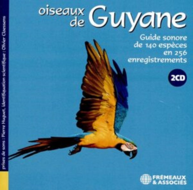 Oiseaux De Guyane