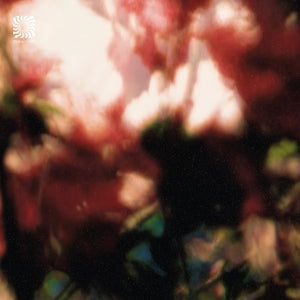 Peace is it in you EP