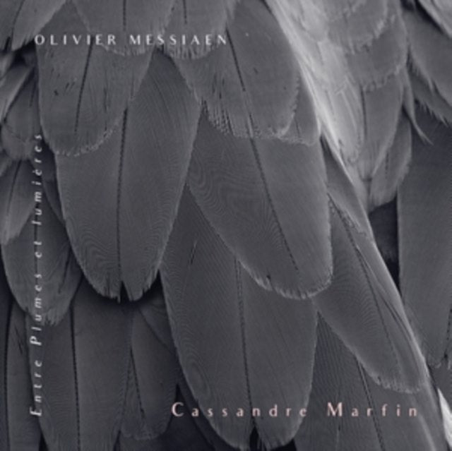 Olivier Messiaen: Entre Plumes Et Lumières