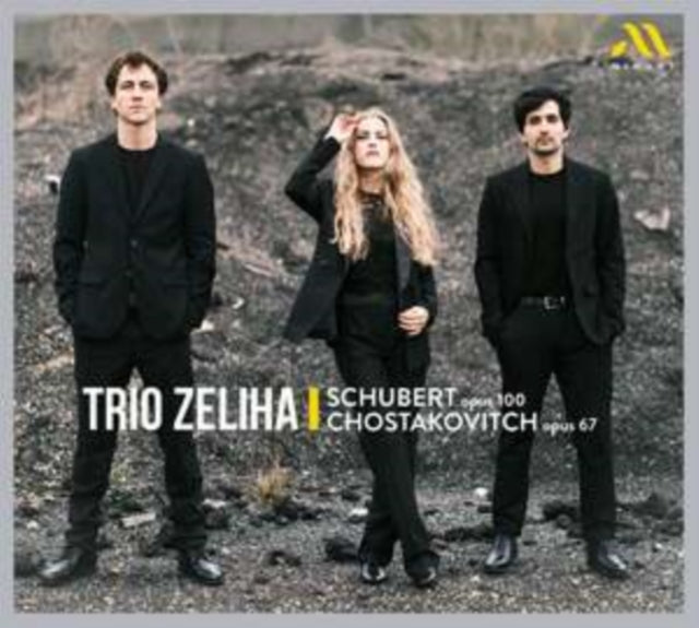 Schubert, Op. 100/Chostakovitch, Op. 67