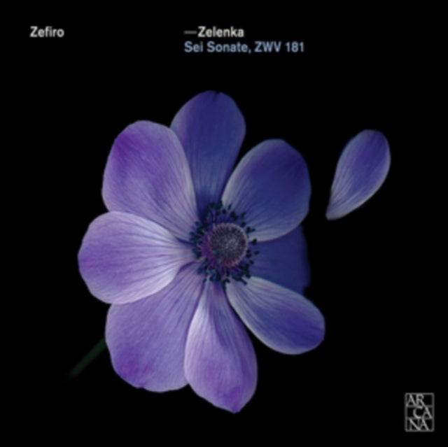 Zelenka: Sei Sonate, ZWV181
