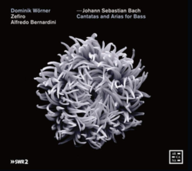 Johann Sebastian Bach: Cantatas and Arias for Bass