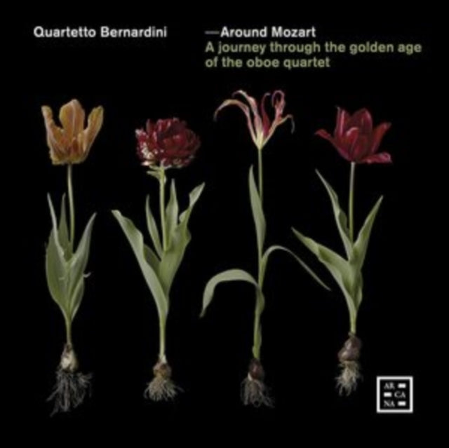 Quartetto Bernardini: Around Mozart