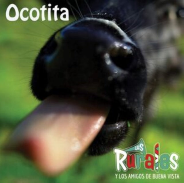 Ocotita