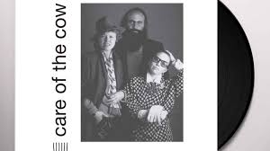 Dogs Ears Are Stupid