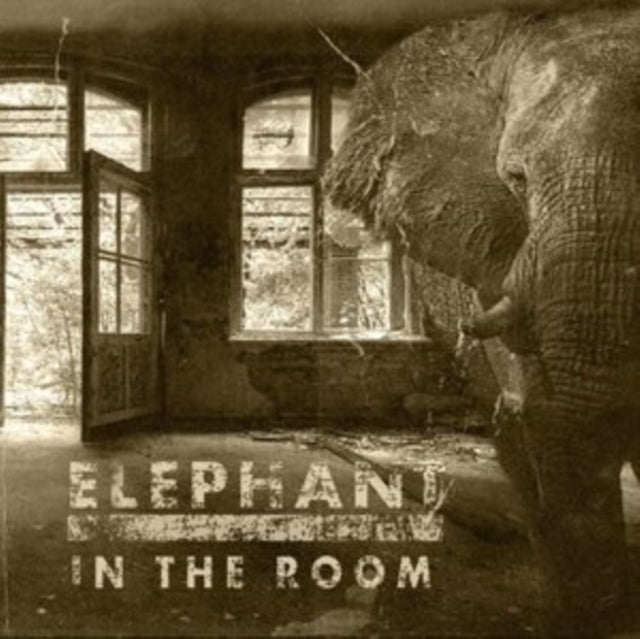 Elephant in the Room