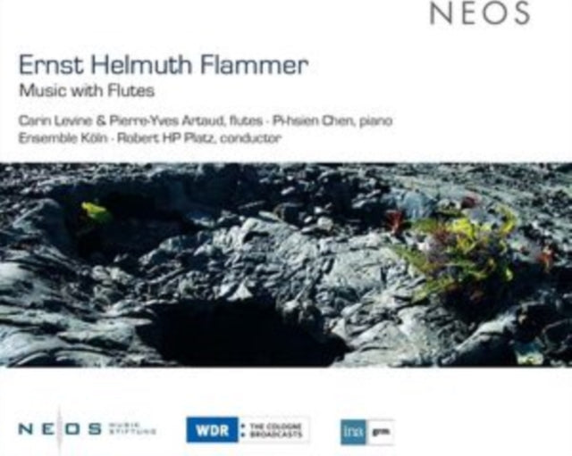 Ernst Helmuth Flammer: Music With Flutes