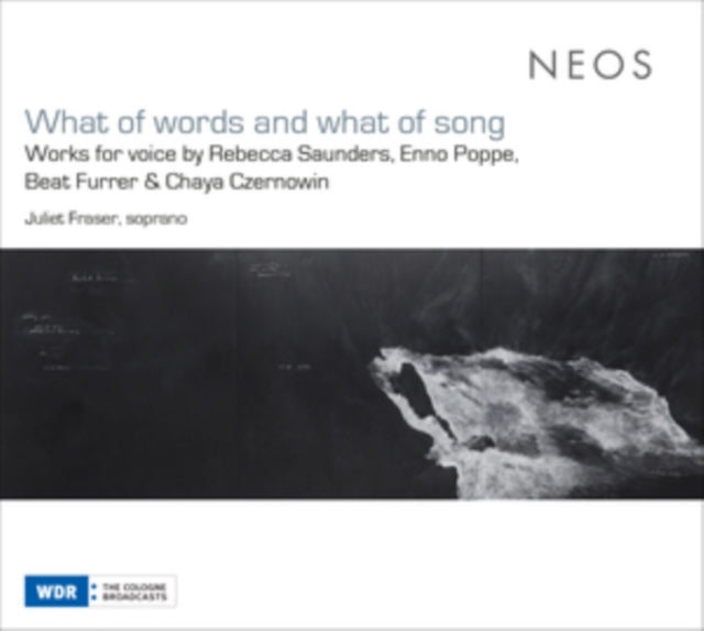 What of Words and What of Song
