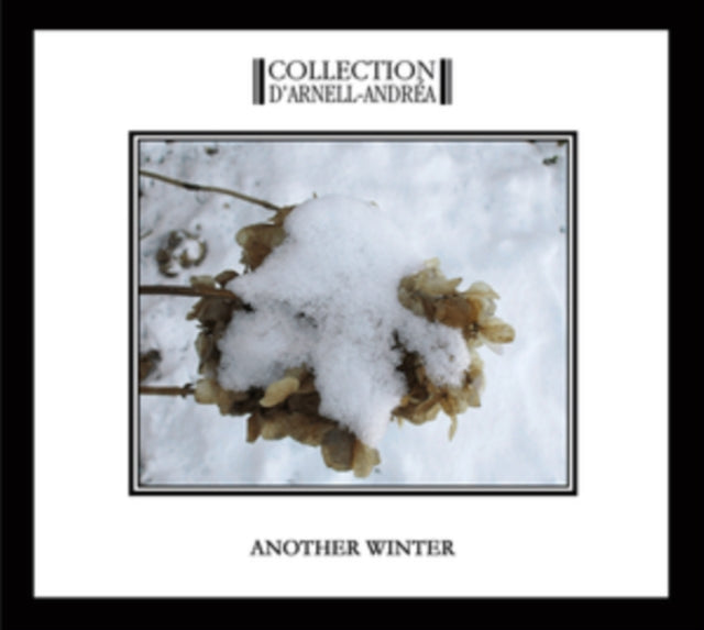 Another Winter
