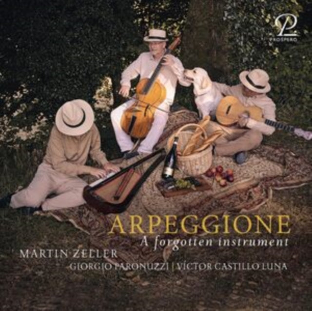 Arpeggione: A Forgotten Instrument