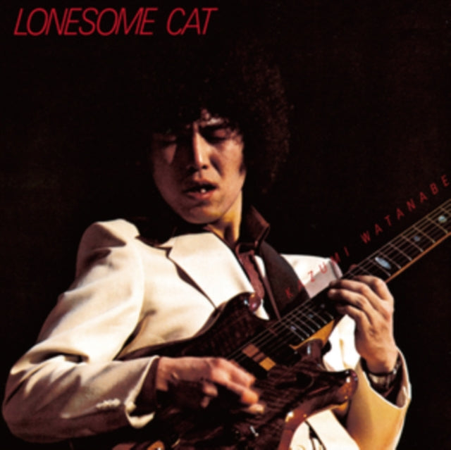 Lonesome cat