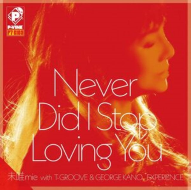 Never Did I Stop Loving You