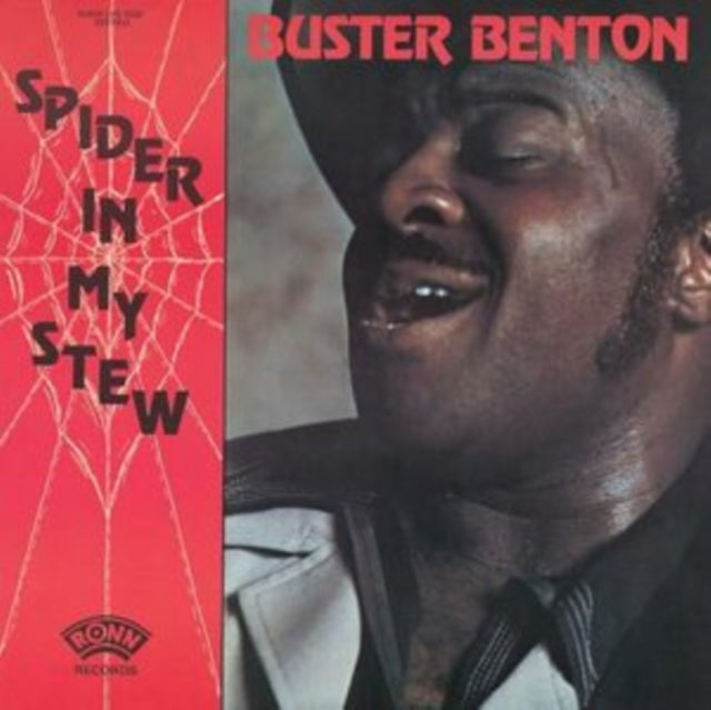 Spider in My Stew