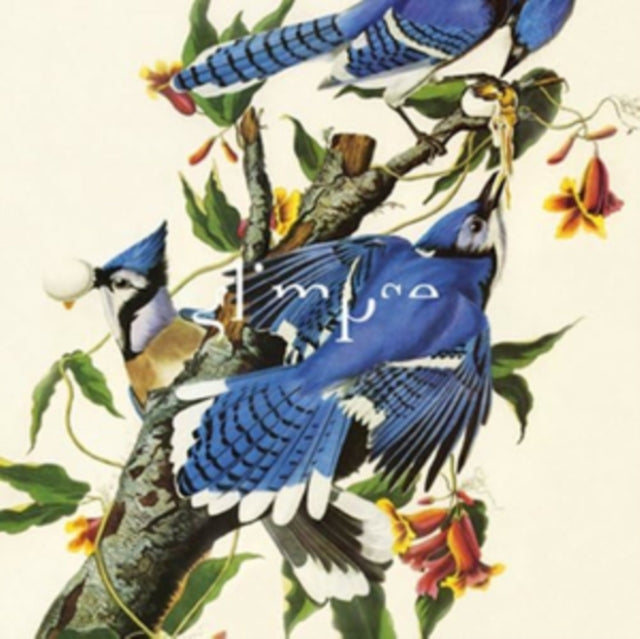 The Bird Collection