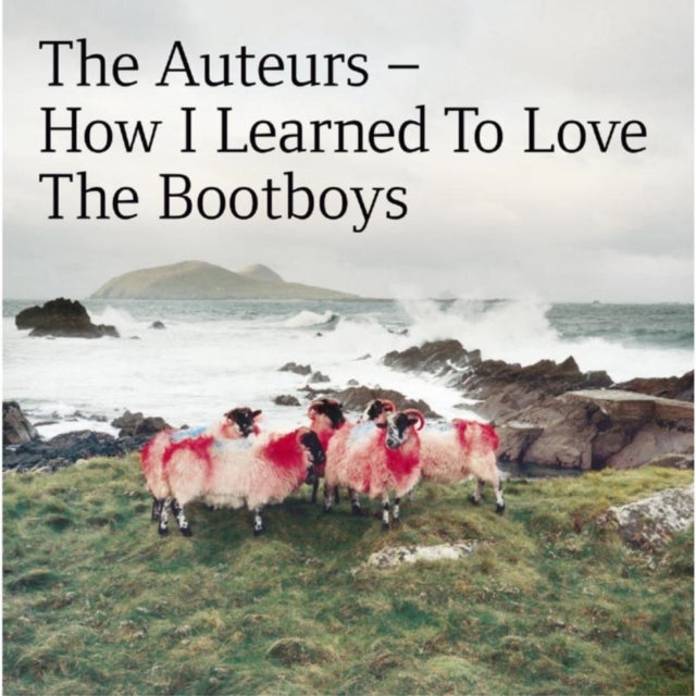How I Learned to Love the Bootboys