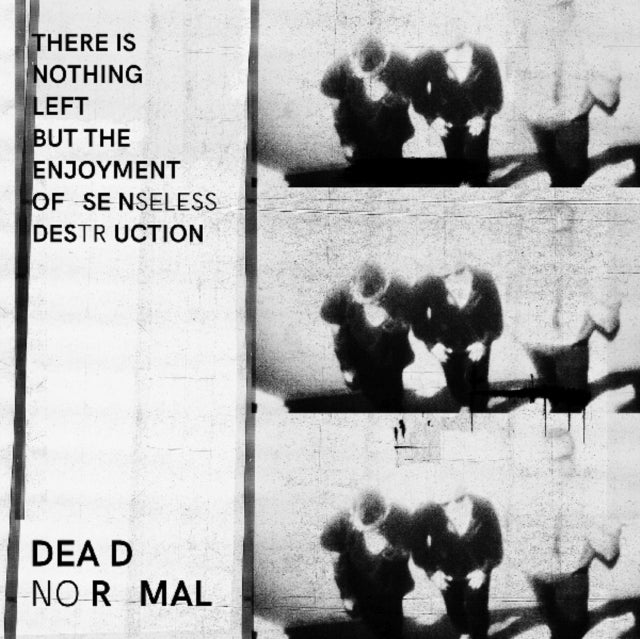 There Is Nothing Left But the Enjoyment of Senseless Destruction