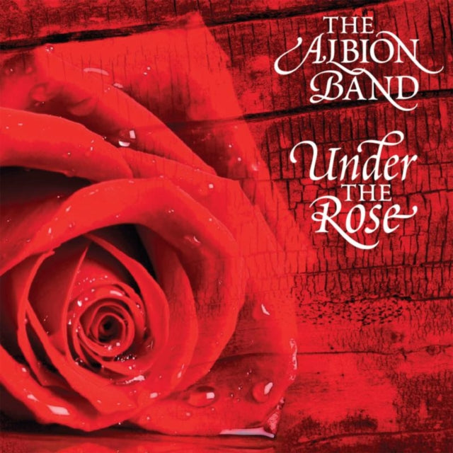 Under the Rose