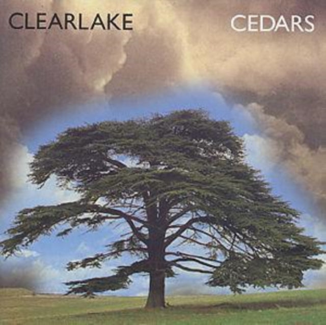 Cedars