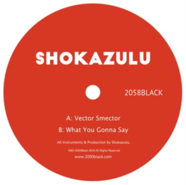 Vector Smector/What You Gonna Say