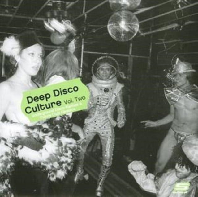Deep Disco Culture 2