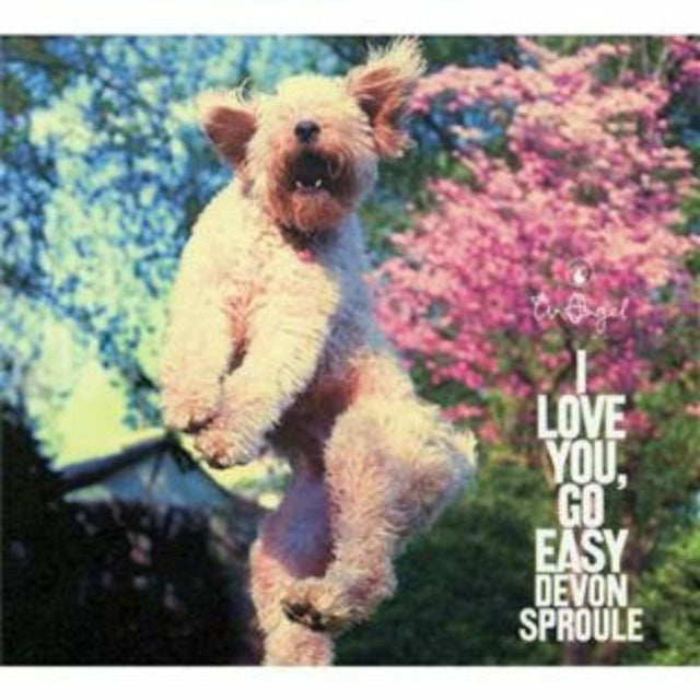 I Love You Go Easy