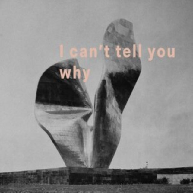 I Can't Tell You Why (RSD 2021)