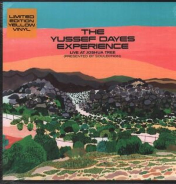 Live at Joshua Tree